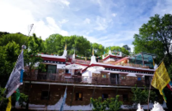 FlowerFields Bar&Cafe&Guesthouse