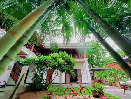 Wisdom Mystery Hotel