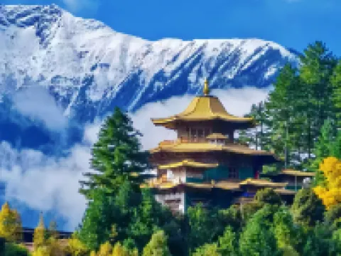 See Wild·YS  Galang Palace Retreat Hotels near Bomi Peach Blossom Valley