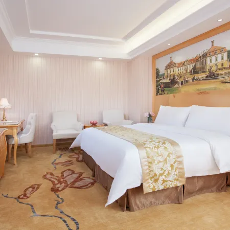 Vienna Hotel (Heyuan Heping)