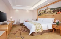 Vienna Hotel (Heyuan Heping) - 3 Yıldız