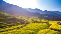 Wuyuan Jinyi Homestay (Railway Station) - Romantic