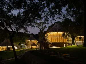 Xinsu 24li Resort