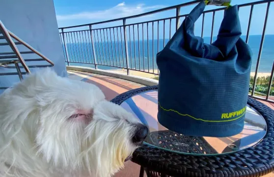 鄉遇拾光精品民宿（東戴河佳兆業店）