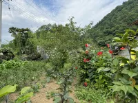 Enshi Yunlu Youju Homestay 준부야석림 주변 호텔