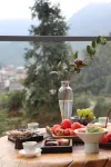 ForestGazer - balcony