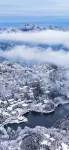Floral Hotel· Mountain Forest Hotel (Guling Street Cableway Shangzhan Branch) - غرفة مطلة على الجبل