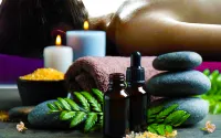 馬尼拉薩沃伊酒店，靠近尼諾伊·阿基諾國際機場3號客運大樓 - SPA