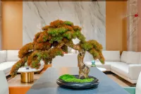 Qingxu Qingshan Hotel (Xugou Middle School Branch) Hotels in Qingxu