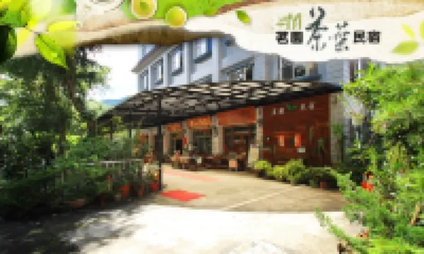 阿里山茗園茶葉民宿 嘉義縣住宿飯店