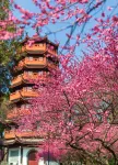 衢州憶瀾ホテル（水亭門国金中心） - カップル