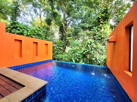 ห้องดีลักซ์พร้อมสระว่ายน้ำส่วนตัว