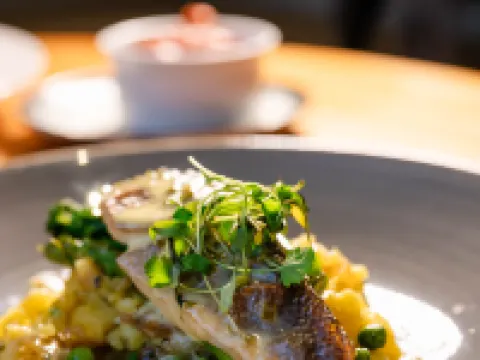 Tinto Hotel Hotels in Biggar