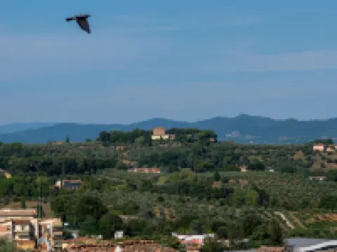 Torre del Fuggisole Hotels in Siena
