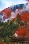 有美隱宿·九寨雲裳民宿 - 浪漫/情侶