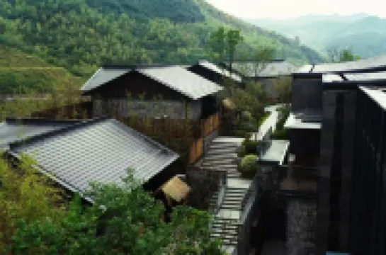 One Leaf Forest Hotel Spring