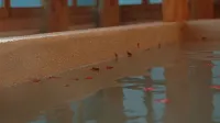 Wang Sanqing B&B - Hot Springs