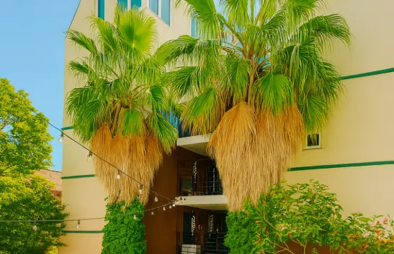 背包客之家旅館