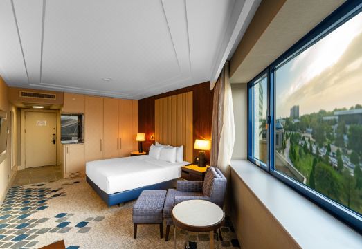 호텔 수영장 전경