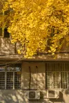 The Hidden House (Cheng Du Kuanzhai Alley People's Park Subway Station Branch) - Romantic