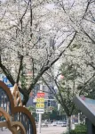 Hanting Liupan Water City Shuangshui Hotel - غرفة مطلة على الجبل