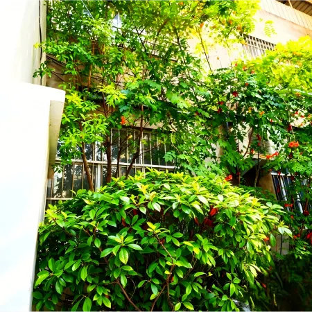 VecRay Homestay (Xinyi Street Xinjieqiao Branch)