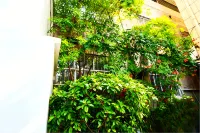 VecRay Homestay (Xinyi Street Xinjieqiao Branch)