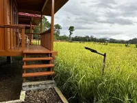 Bait Lino Hotels in Rantepao