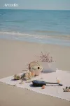 秦皇島阿爾卡迪亞濱海度假酒店 - 沙灘