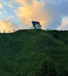 WILDRETREAT • QINLING TEA HIGHLANDS - Mountain view