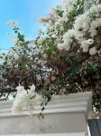 WhiteHouse Karachi Ξενοδοχεία στην πόλη D.H.A.