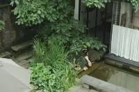 九華山巷裡民宿（化城寺店） - 酒吧