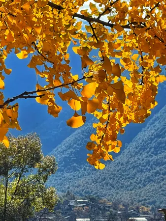 Weixi Yueting Yushe Отели рядом с достопримечательностью «Damo Patriarch Cave»