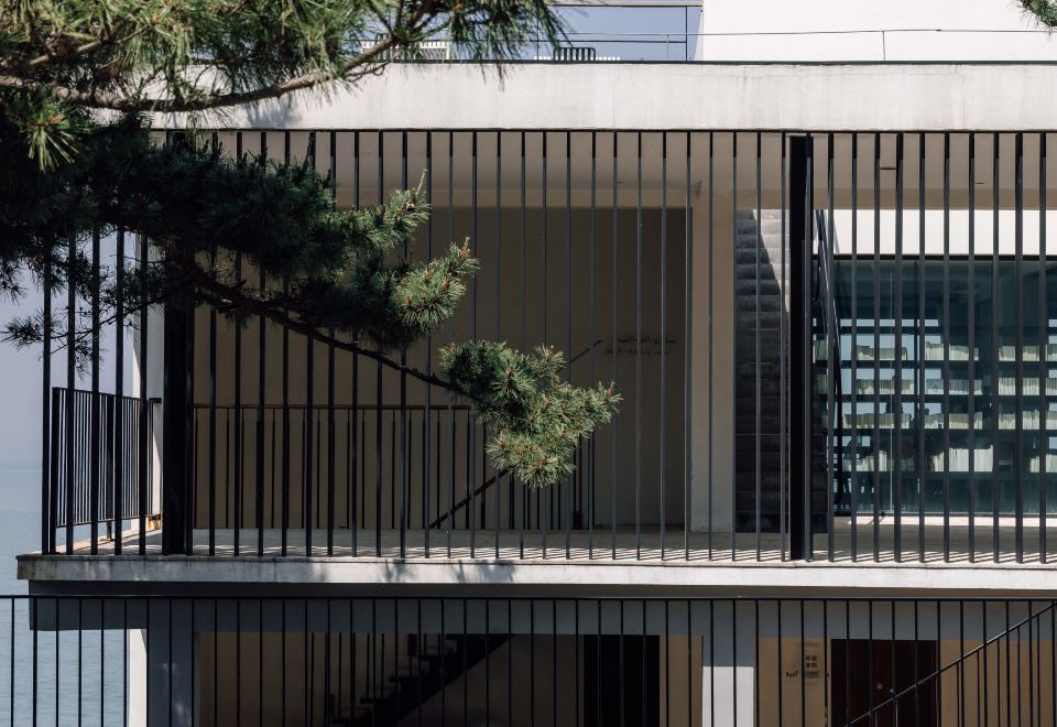 푸수 칠란 이미지