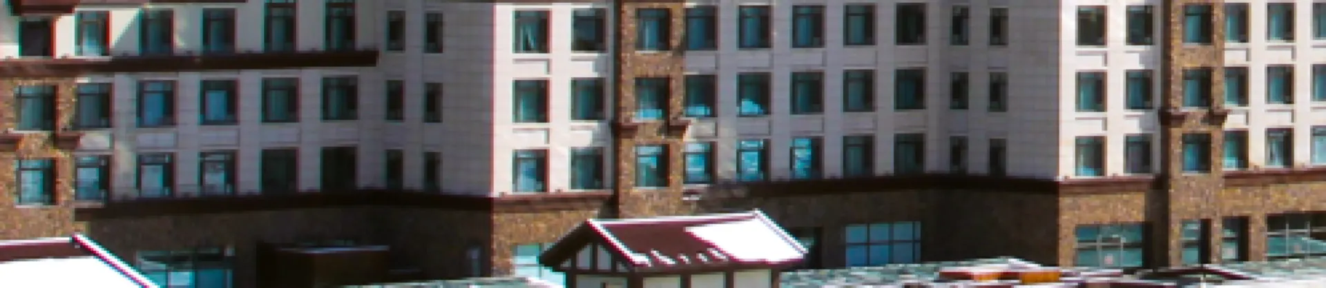 Ski Hotels