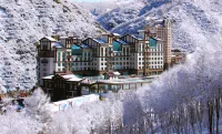 Dragon Palace Hotel (Wanlong Ski Resort)