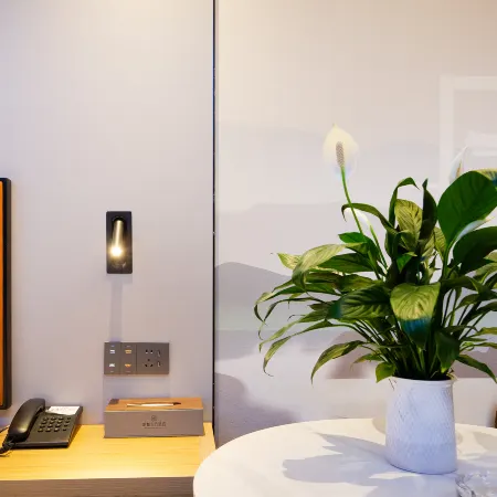 GreenTree Eastern Hotel (Xingtai Ningjin County Fenghuang Road) Hotels in Ningjin