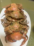長海邂逅時光民宿（大長山島黄金海岸） - 朝食