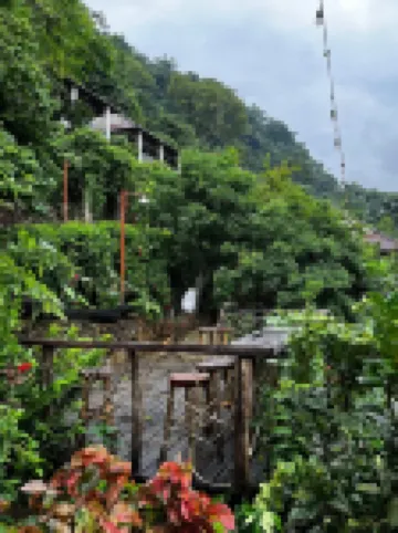 Ba Be Lakeside Bungalow Hotels in Ba Be District