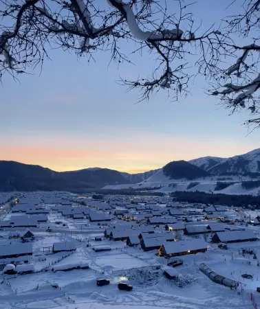 Hemu blueberry Villa