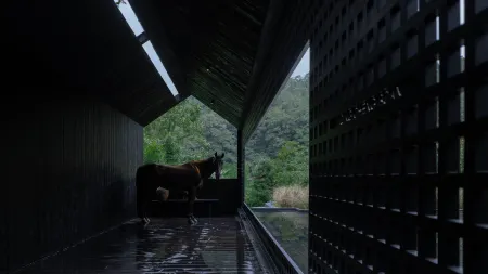 Qingcheng Moutain Boarding Home stay