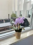 Qingdao Chujian. Yijia Preferred Hotel (Golden Beach Wuyue Plaza) Отели рядом с достопримечательностью «Порт Ямми»