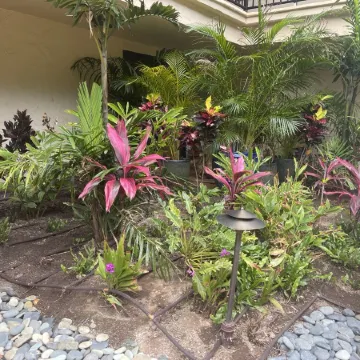 Oceanfront Escape, Molokai Views & Tropical Breezes