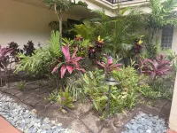 Oceanfront Escape, Molokai Views & Tropical Breezes