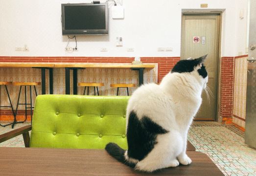 텀블러 트래블 대표 이미지