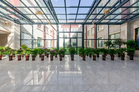 Shannan Meikang International Hotel Отели рядом со станцией Shannan Railway Station