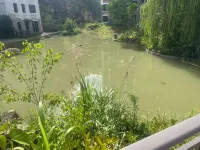 โรงแรมวันดา จิน ผันอัน - วิวภูเขา