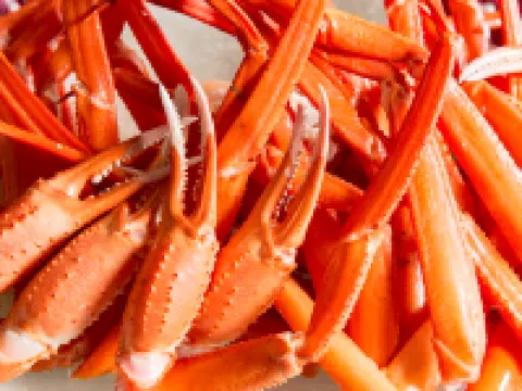 山中温泉 河鹿荘 加賀のホテル