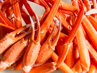 Yamanaka Onsen KAJIKASO