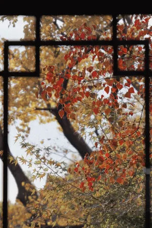 Kimpton Bamboo Grove Suzhou